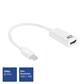 ACT 0.15 meters Mini DisplayPort male to HDMI-A female adapter