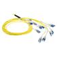 ACT 35 meter Singlemode 9/125 OS2 Preterm fiber cable 24F LC Polarity Twist
